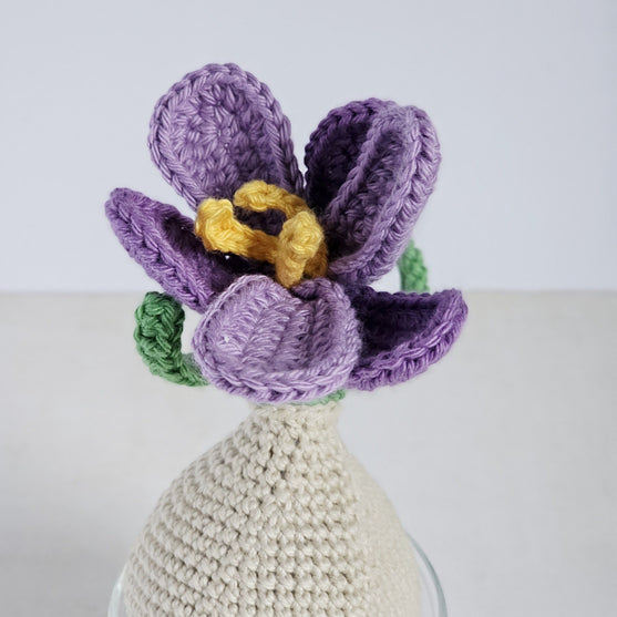 Crocus
4