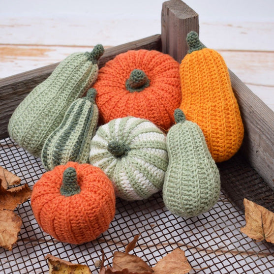 Calabazas de Decoración - Larga
3