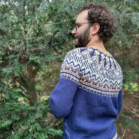 Arctic Starry Night - Jersey Unisex
2