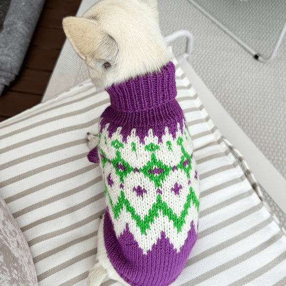 Chihuahua - Jersey para perro
2