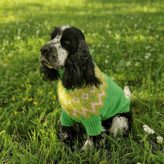 Cocker Spaniel - Jersey para perro
2
