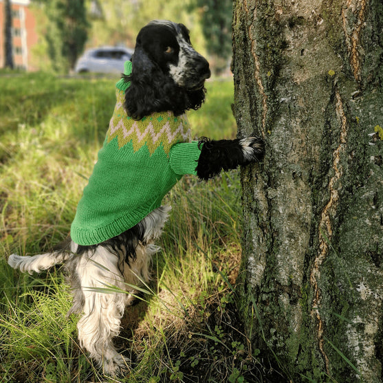 Cocker Spaniel - Jersey para perro
3