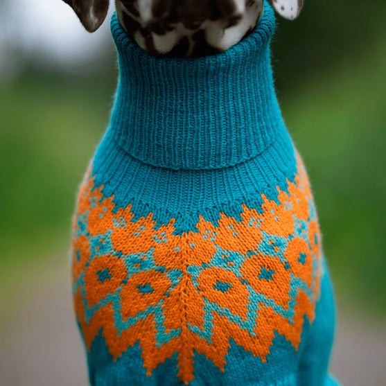 Dálmata - Jersey para perro
3