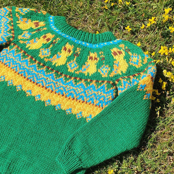 Silly Owl - Jersey de niño
5