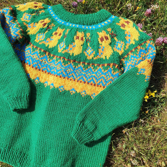 Silly Owl - Jersey de niño
3