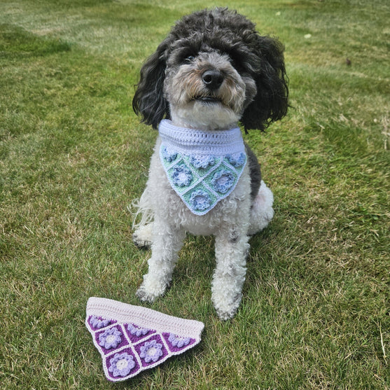Pañuelo de perro
4