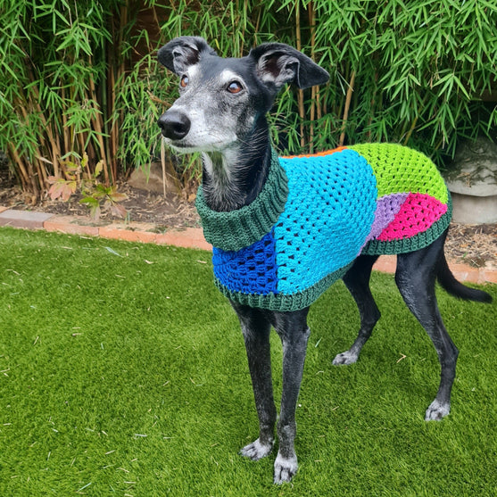 Wally - Jersey para perros
4
