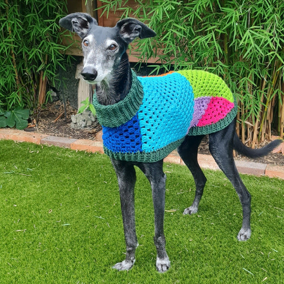 Wally - Jersey para perros
3