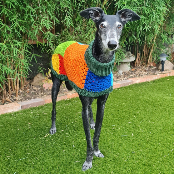 Wally - Jersey para perros
2