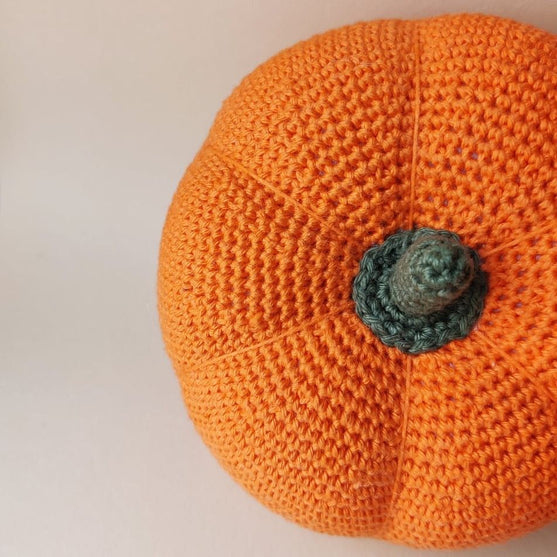 Calabaza - Comida de juguete
4