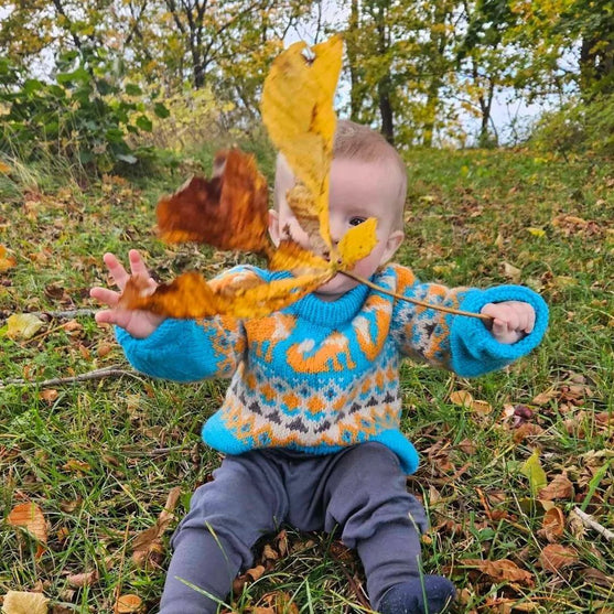 Happy Fox - Jersey de niño
2