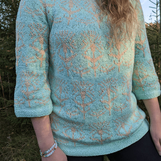 Dandelion - Jersey
3