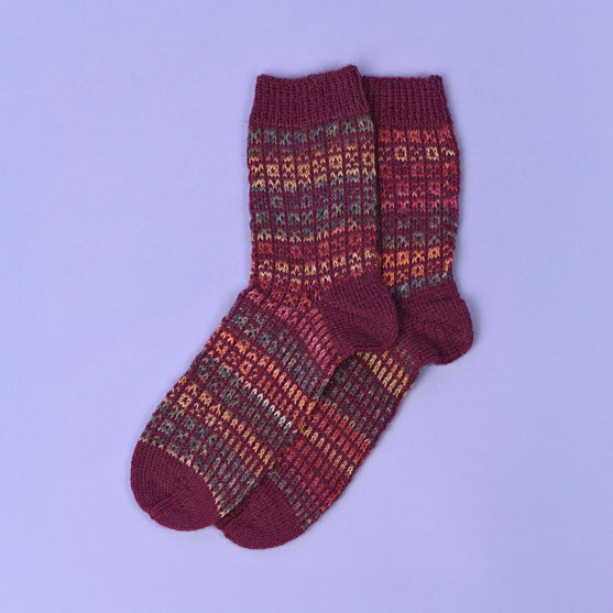 Noale - Calcetines
6