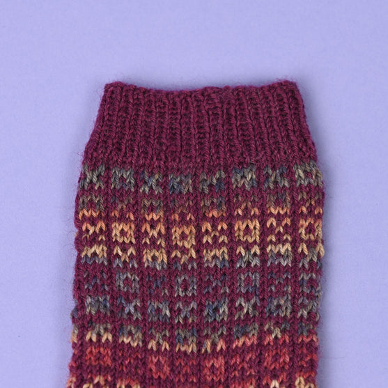 Noale - Calcetines
8