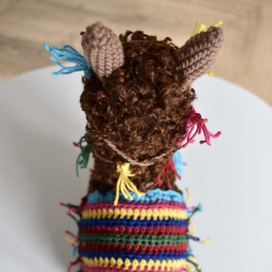 La alpaca Pico
10
