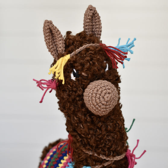 La alpaca Pico
6