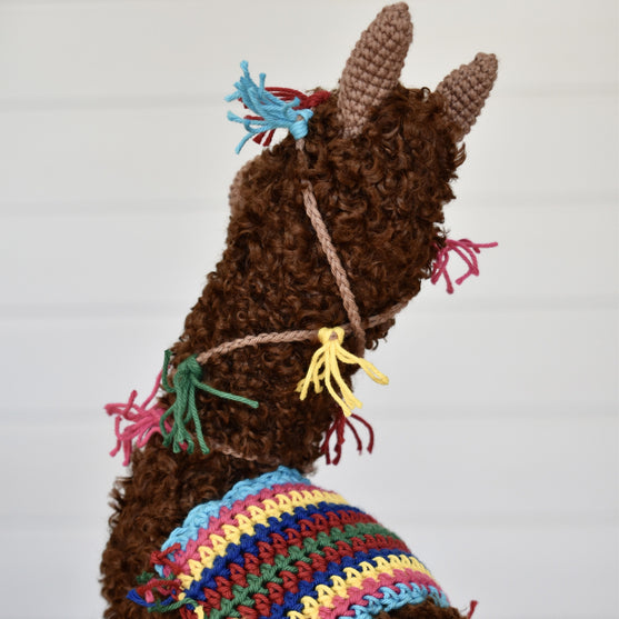 La alpaca Pico
7