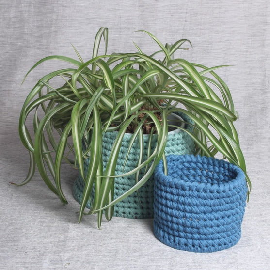 Paris - Juego de cestas
2