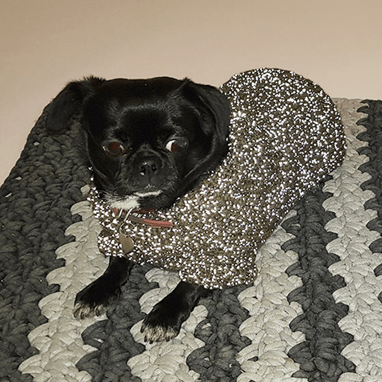 Flemming Jersey Perro
2