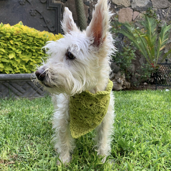 Cuddly Wrap - Bandana para perros
4