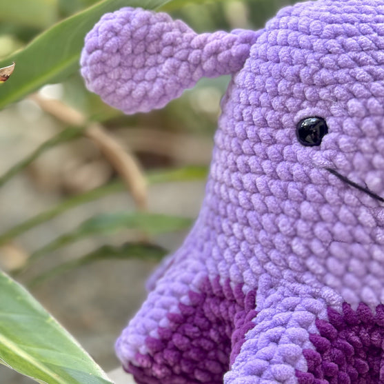 Wade el Pulpo Paraguas
3