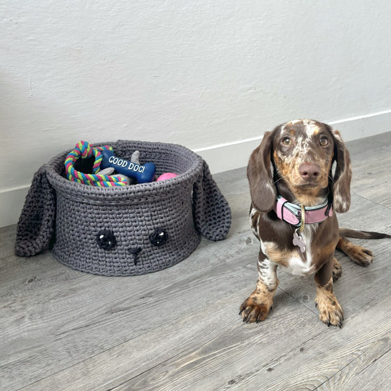 Buddy - Cesta
2