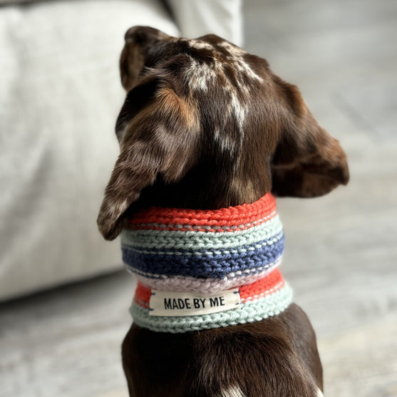 Wes - Bufanda para perro
3