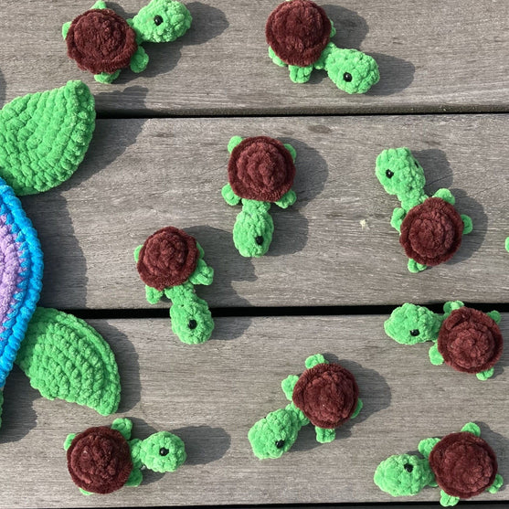 Rainbow Turtles - Juego de memoria
8