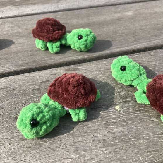 Rainbow Turtles - Juego de memoria
11