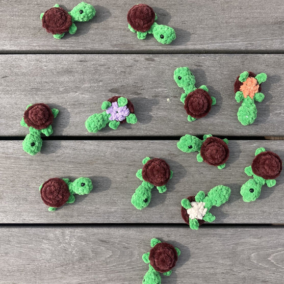 Rainbow Turtles - Juego de memoria
9