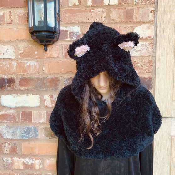 Hooded Cat - Capa
2