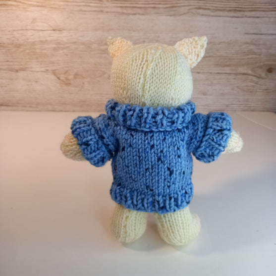 Kitten in Sweater
3