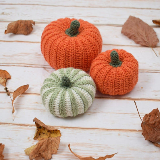Calabaza de Decoración– Redondo
2