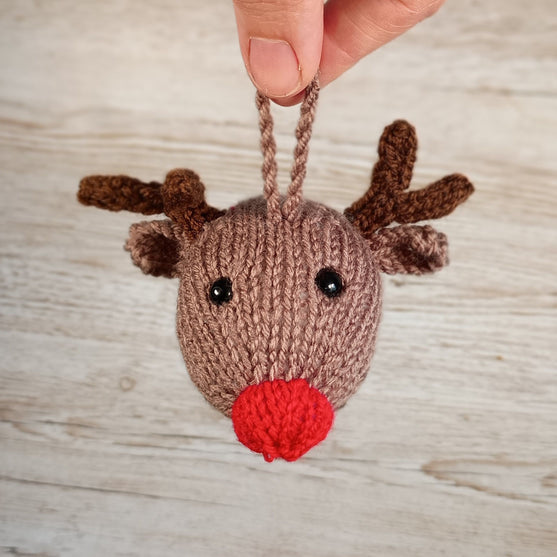 Rudolf & Friends - Adornos
2