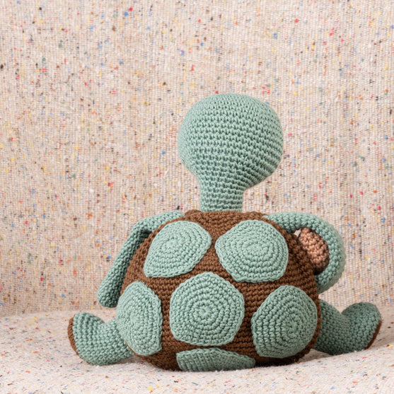 Theo La Tortuga
3