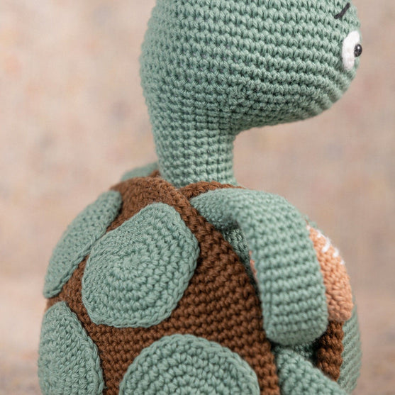 Theo La Tortuga
4