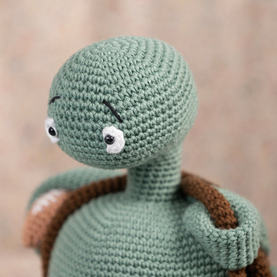 Theo La Tortuga
5