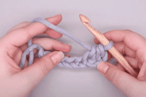 Half Double Crochet (hdc) (US)