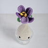 

Crocus
3