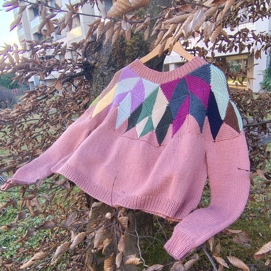 

Intarsia - Jersey
2