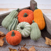

Calabazas de Decoración - Larga
3