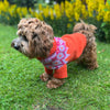 

Bichón Habanero - Jersey para perro
3