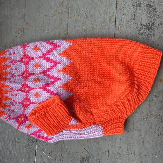 

Bichón Habanero - Jersey para perro
4