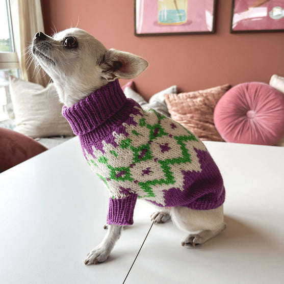 

Chihuahua - Jersey para perro
3