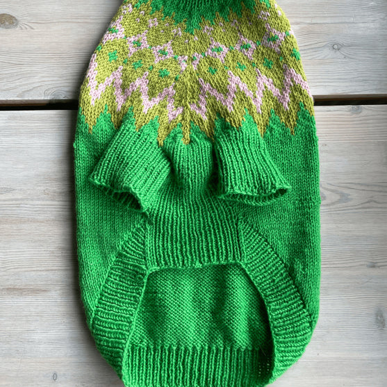 

Cocker Spaniel - Jersey para perro
5