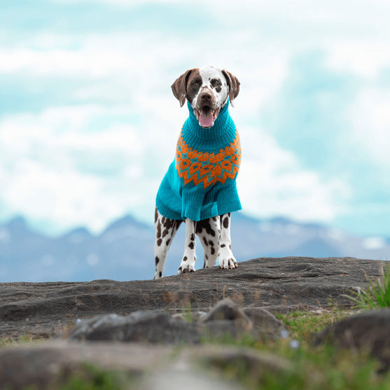 

Dálmata - Jersey para perro
1