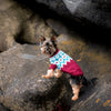 

Yorkshire Terrier - Jersey para perro
2