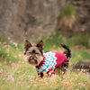 

Yorkshire Terrier - Jersey para perro
4