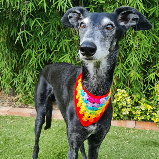

Dandy - Bandana para perros
1