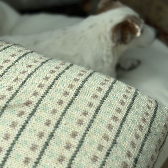 

Homebody - Funda de cojín
4